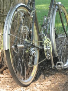 rear view showing fenders