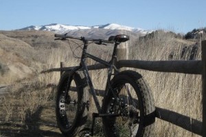 Surly Moonlander