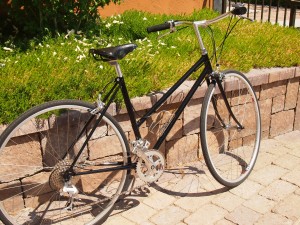 Profile of refurbished bike