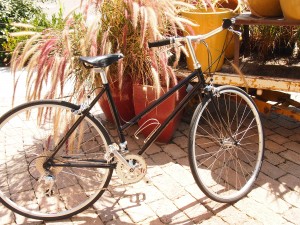 side view of schwinn mixte