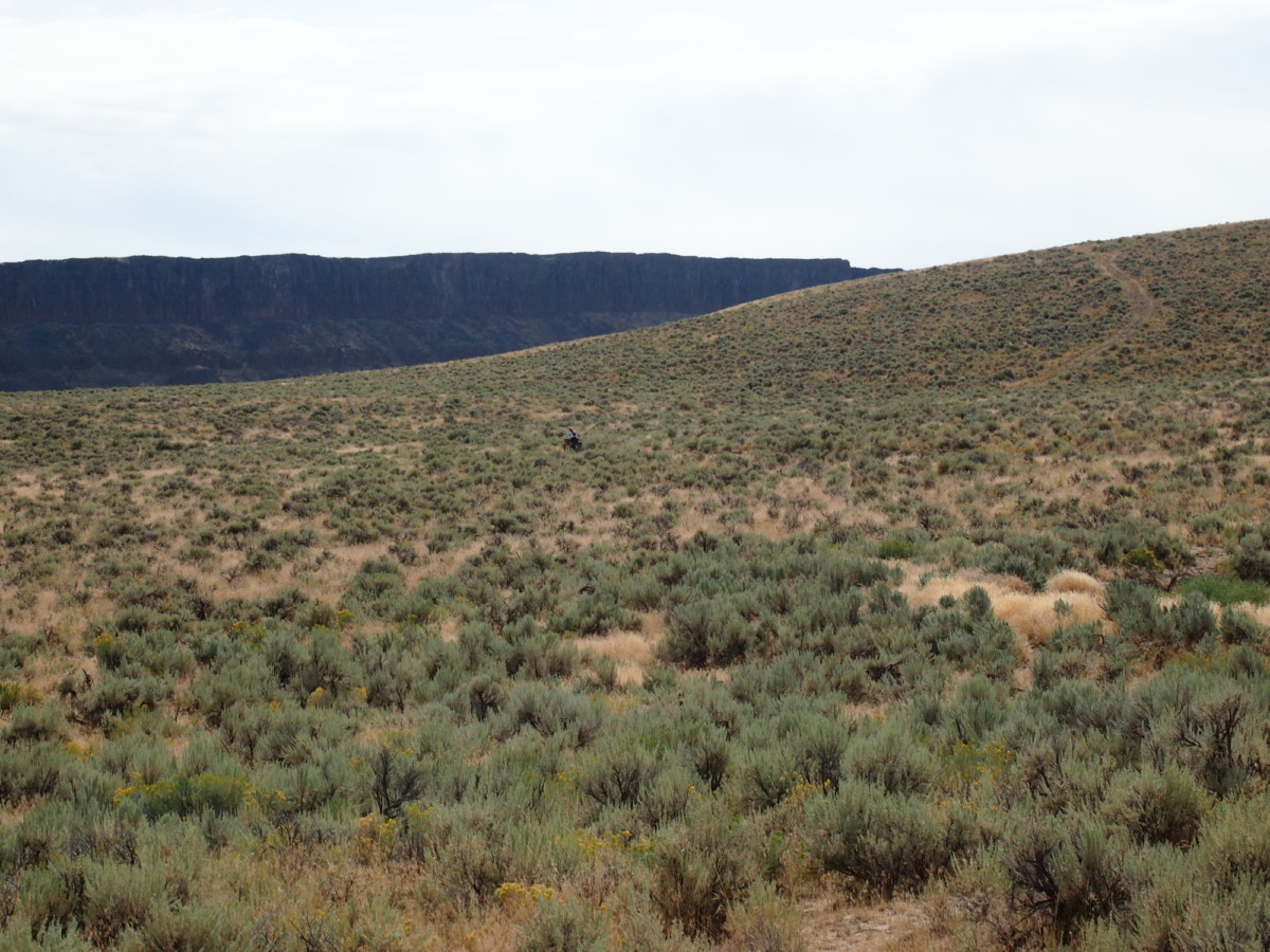 bicycle in the desert