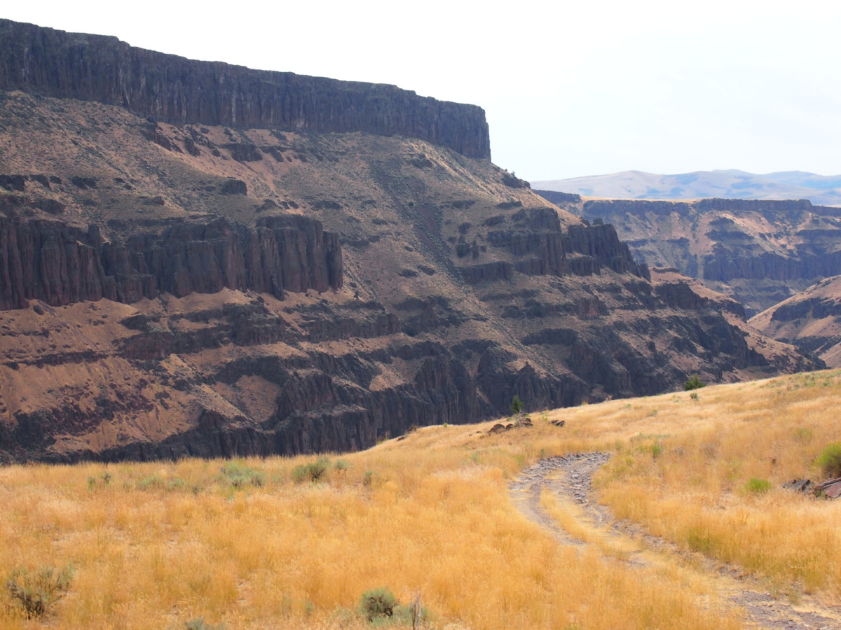 canyon road 