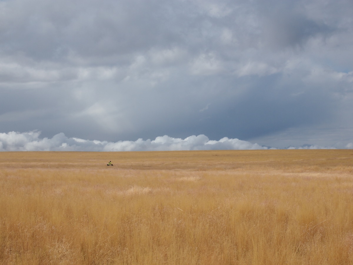 field of weeds bikepacking