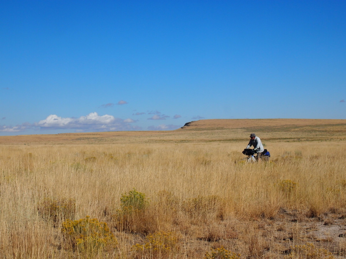 More weeds. 150 years of cattle grazing will do that.