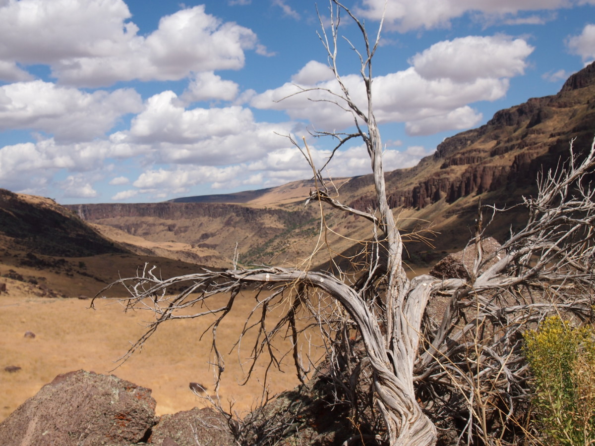 canyonlands