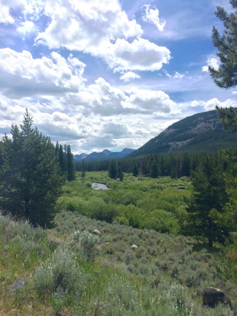 The Pioneer Scenic Byway